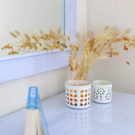 Mimosa Βίλα Κασσιόπη