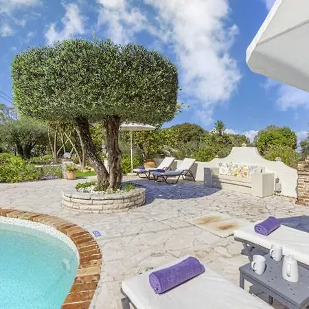 Mimosa فيلة كاسيوبي