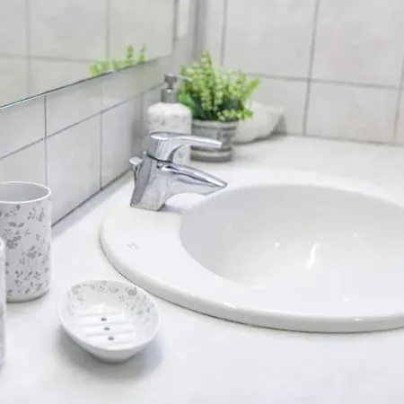 Mimosa فيلة كاسيوبي